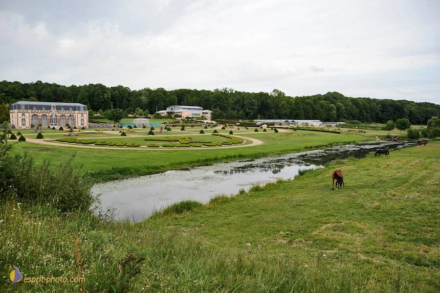 Nom de l'image : D30011788_1_(c)Norbert-JUNG — Description :